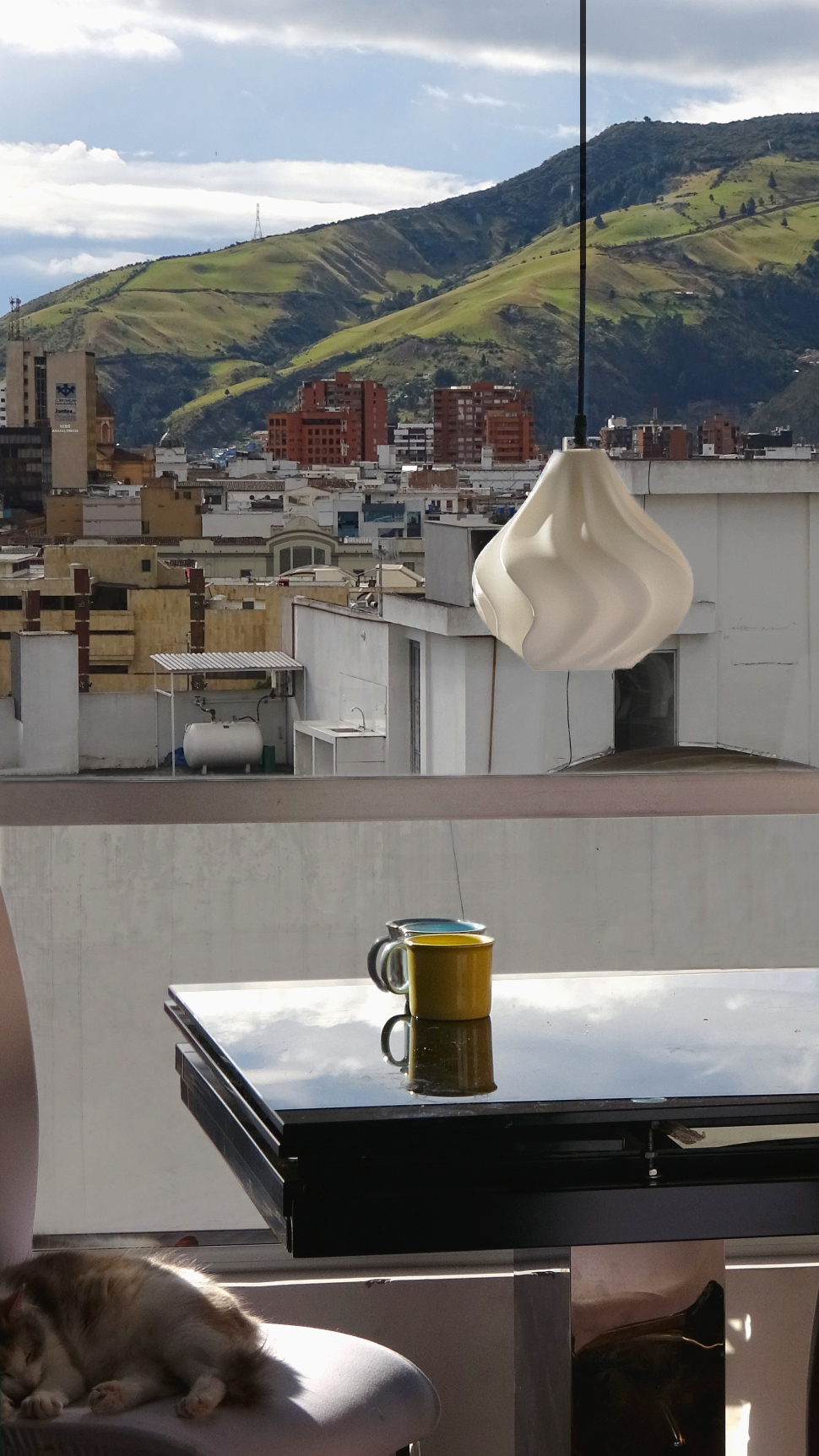 Oropéndola: imagen 2